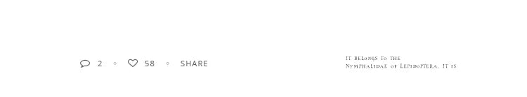 2025 New Elegant Opals Grip Back Of The Head Fixed Hair Shark Clip Headdress Girls Fashion Hairpin Accessories For Womans Clip - Clikcy