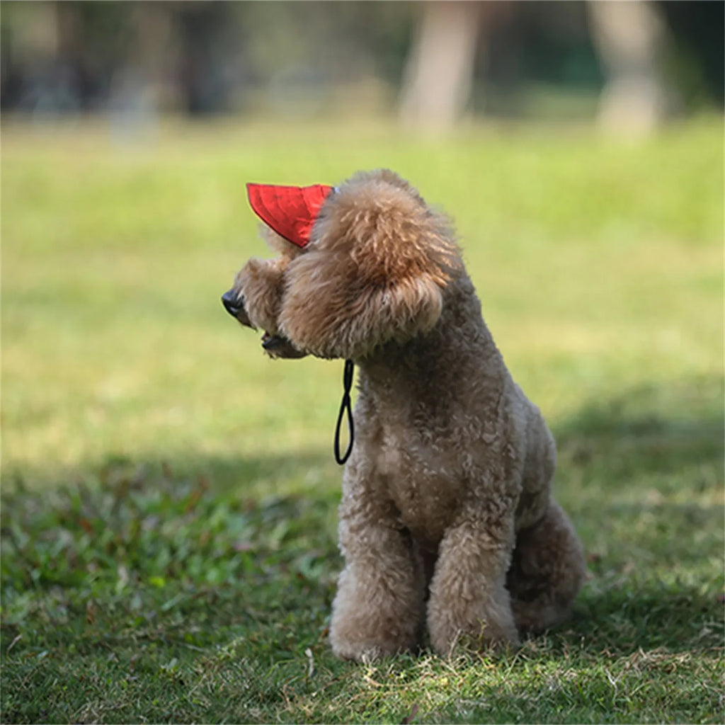 Adjustable Pet Dog Baseball Cap with Ear Holes for Small Medium Dogs Summer Dog Sun Hat Outdoor Hiking Pet Products - Clikcy