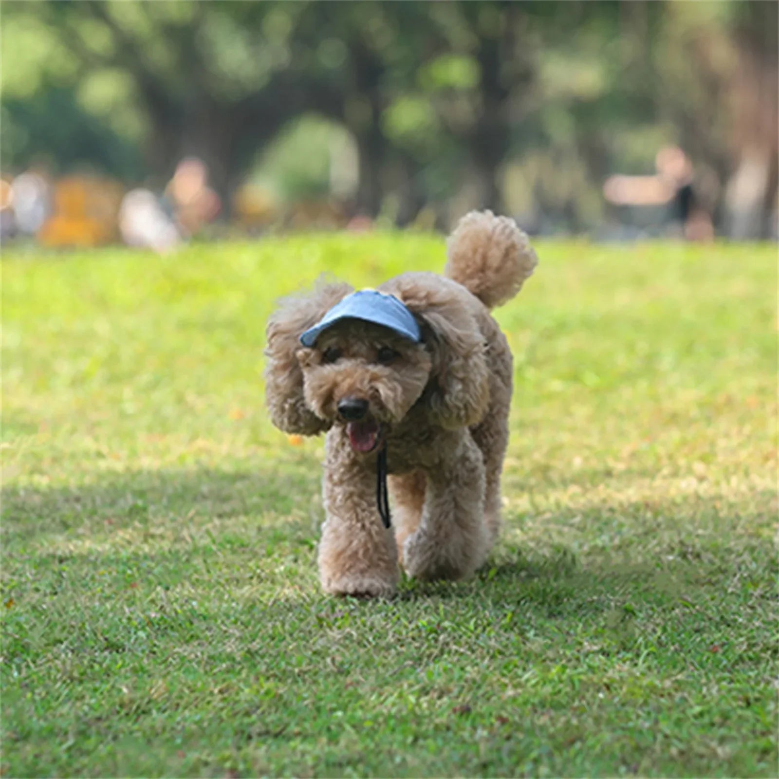 Adjustable Pet Dog Baseball Cap with Ear Holes for Small Medium Dogs Summer Dog Sun Hat Outdoor Hiking Pet Products - Clikcy
