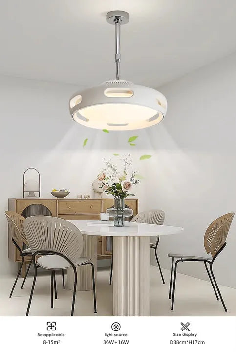 LED Ceiling Fan Light Modern Creative Leaf Less Low Decibel 6th Gear  Living Room Dining Room Bedroom Dimmable Fan Light - Clikcy