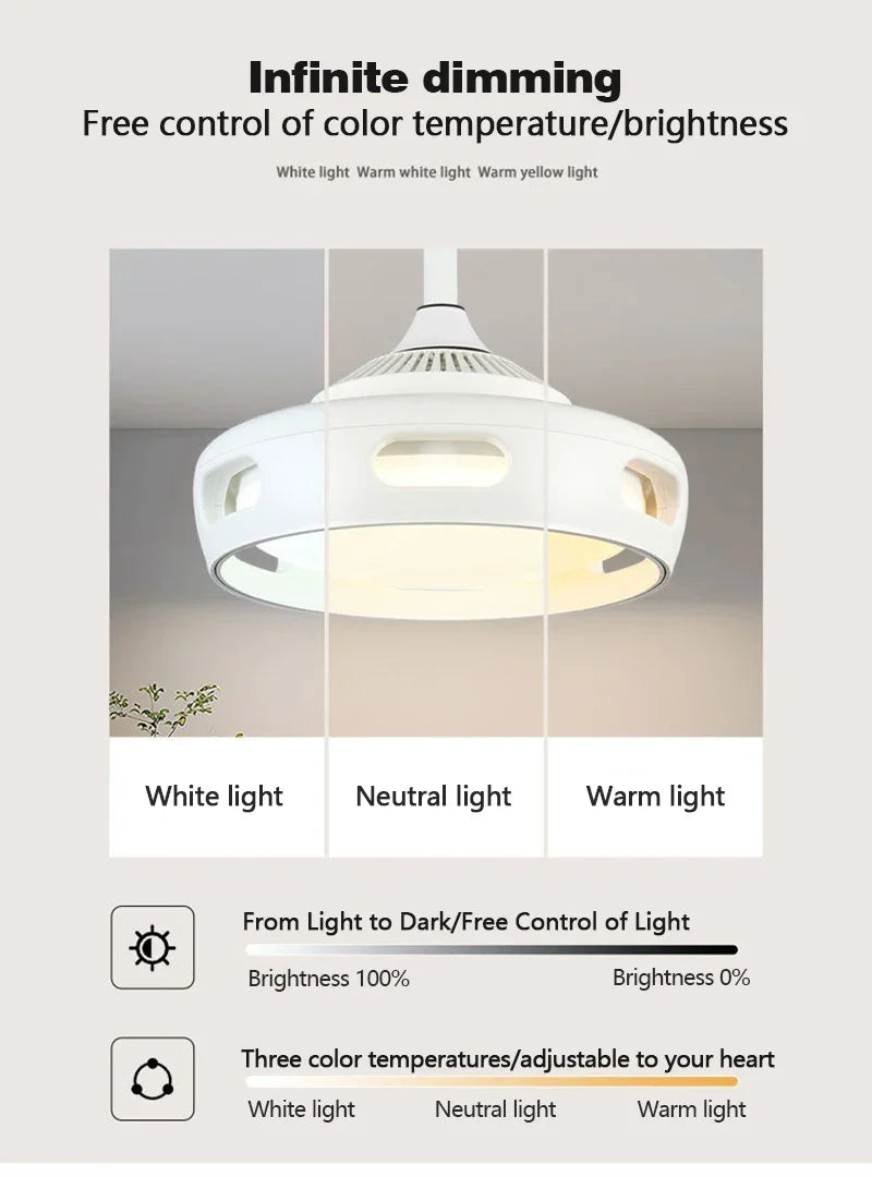 LED Ceiling Fan Light Modern Creative Leaf Less Low Decibel 6th Gear  Living Room Dining Room Bedroom Dimmable Fan Light - Clikcy