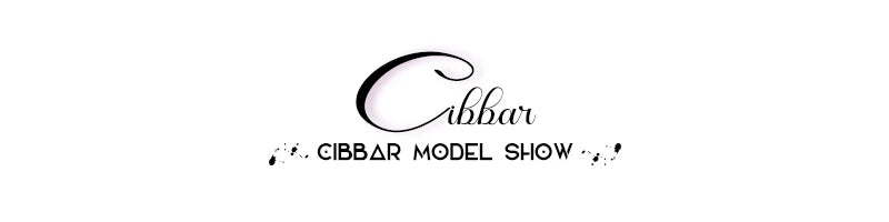 CIBBAR Sexy Deep V Neck Crop Top Women Basic Solid Tee Shirts 2024 Summer New Fashion T-shirts Vintage Clubwear Ladies Clothing - Clikcy