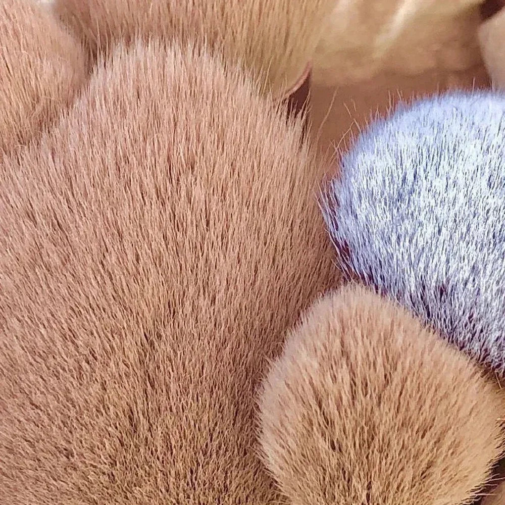 13Pcs Professional Makeup Brushes Set Soft Fluffy for Foundation Blush Powder Eyeshadow Kabuki Blending Makeup Brush Beauty Tool - Clikcy