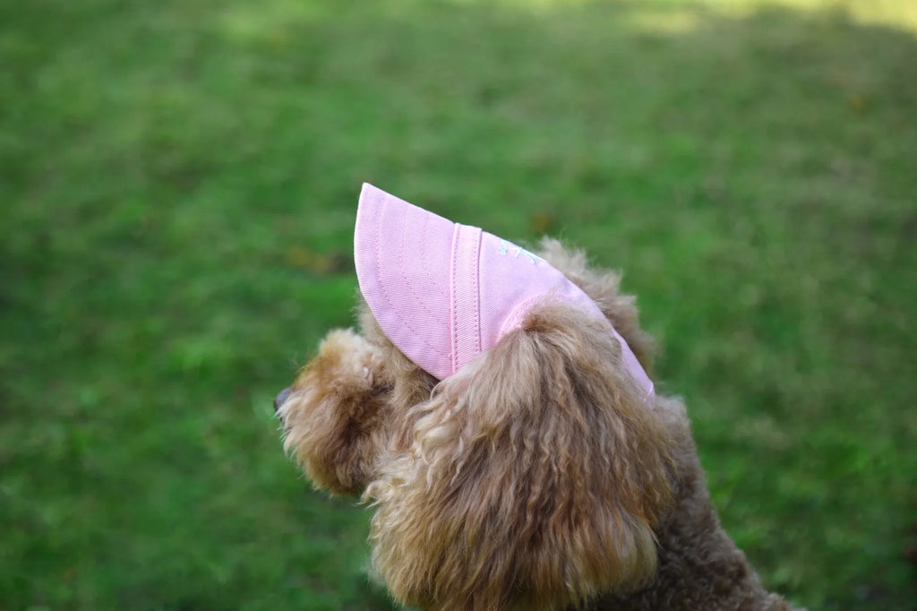 Adjustable Pet Dog Travel Cute Baseball Hat Sun Cap Visor Hat with Ear Holes Outdoor Sport Pet Supplies - Clikcy