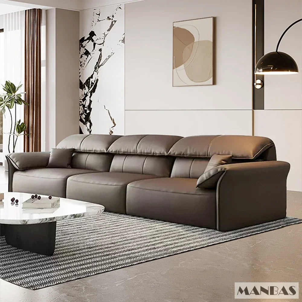 Linlamlim Electric Sofa Convertible for Cinema Living Room | Genuine Leather Electric Multifunction Sofa Bed | Folding Sofa Beds - Clikcy