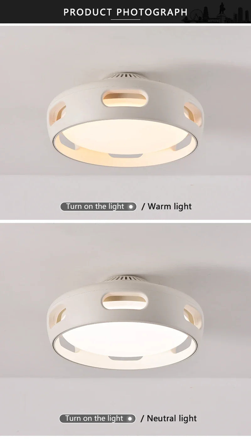 LED Ceiling Fan Light Modern Creative Leaf Less Low Decibel 6th Gear  Living Room Dining Room Bedroom Dimmable Fan Light - Clikcy