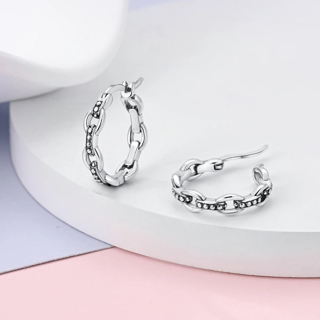 Original 925 Sterling Silver Women Hoop Earrings High Quality Shine Zircon U Shaped Classic Style Earring For Women Jewelry Gift